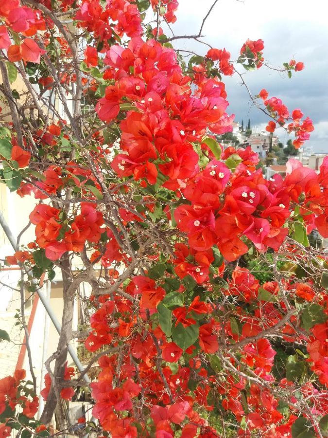 Apartment In Poros Poros Town Ngoại thất bức ảnh