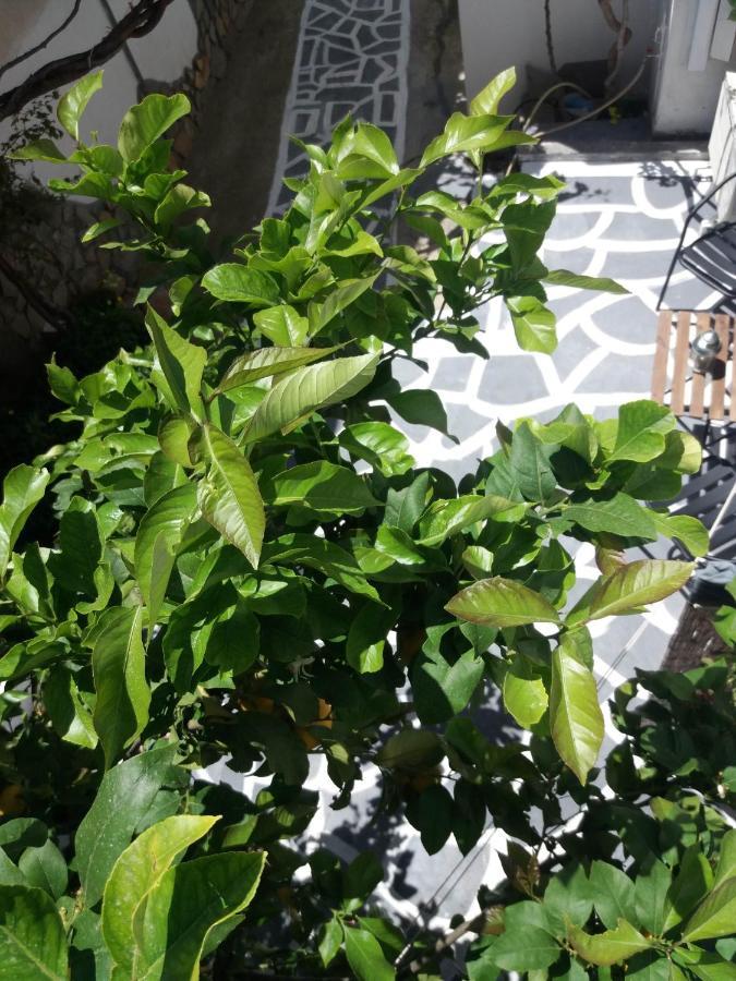 Apartment In Poros Poros Town Ngoại thất bức ảnh